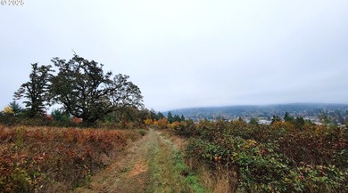 Prime 66.82-Acre Development property with Panoramic Valley - photo 6