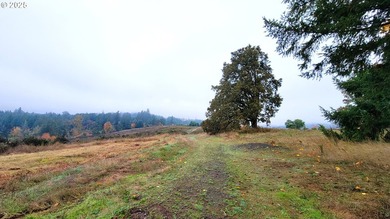 Prime 66.82-Acre Development property with Panoramic Valley - photo 7