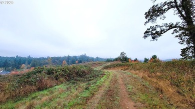 Prime 66.82-Acre Development property with Panoramic Valley - photo 8