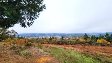 Prime 66.82-Acre Development property with Panoramic Valley - photo 9