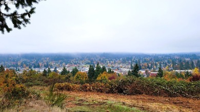 Prime 66.82-Acre Development property with Panoramic Valley - photo 10