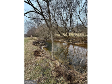 Lake Blue Ridge Lot For Sale in Morganton Georgia