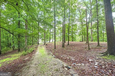 Follow the winding paved driveway through a canopy of mature - photo 8