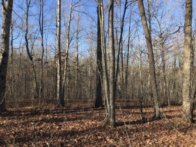 Lake Acreage For Sale in Dunlap, Tennessee