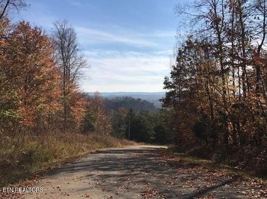 Oh the View Potential! If you're looking for Norris Lake & - photo 11