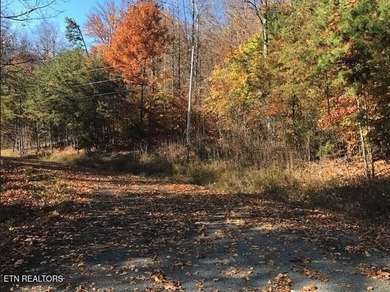 Oh the View Potential! If you're looking for Norris Lake & - photo 12