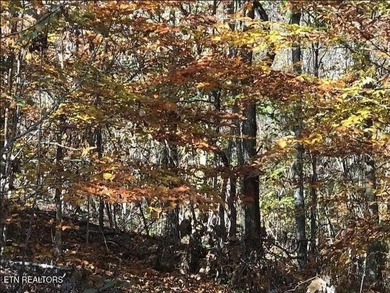 Oh the View Potential! If you're looking for Norris Lake & - photo 13