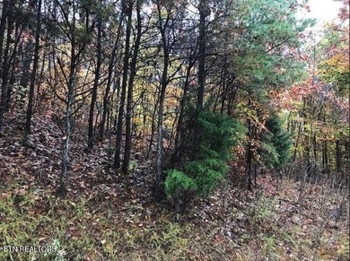 Oh the View Potential! If you're looking for Norris Lake & - photo 14