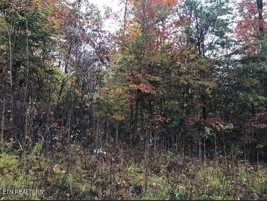 Oh the View Potential! If you're looking for Norris Lake & - photo 15