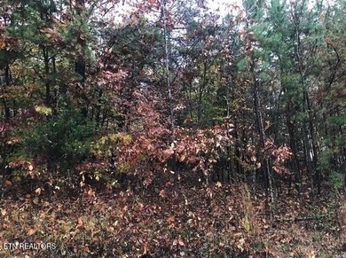 Oh the View Potential! If you're looking for Norris Lake & - photo 16
