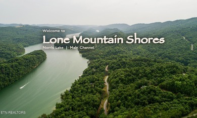 Oh the View Potential! If you're looking for Norris Lake & - photo 17