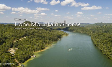 Oh the View Potential! If you're looking for Norris Lake & - photo 25