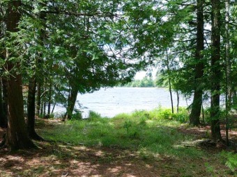 Rhinelander Flowage - Chain of Lakes Home For Sale in Rhinelander Wisconsin