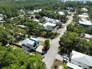 Experience quintessential coastal living in South Walton with - photo 53
