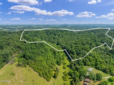 (private lake, pond, creek) Acreage Sale Pending in Mount Carmel Tennessee