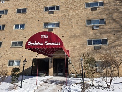 Coe Lake Condo For Sale in Berea Ohio