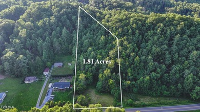 (private lake, pond, creek) Lot Sale Pending in Hampton Tennessee