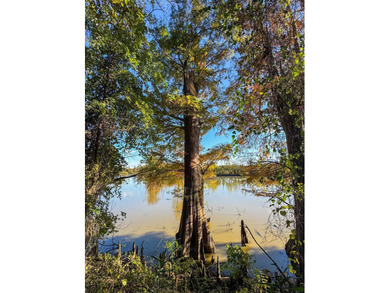 Nestled between the Black and Strawberry Rivers, this 525+/- - photo 15