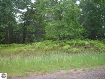 Clam River Lot For Sale in Lake City Michigan