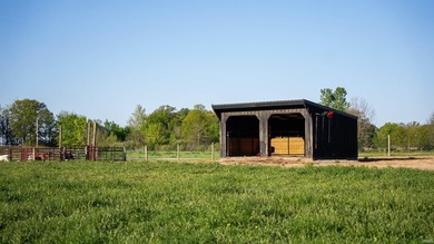 This exceptional Boone County property features a custom-built - photo 37