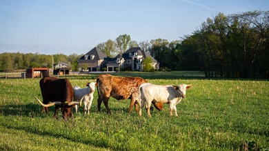This exceptional Boone County property features a custom-built - photo 41