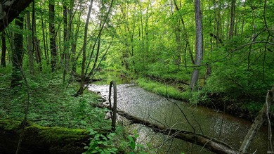 This exceptional Boone County property features a custom-built - photo 44