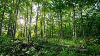 This exceptional Boone County property features a custom-built - photo 49