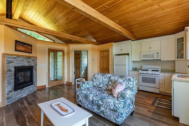 TWO YEAR-ROUND RESIDENCES: A joyful primary residence and an - photo 50