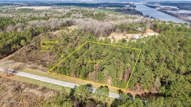 William Dannelly Reservoir Acreage For Sale in Camden Alabama
