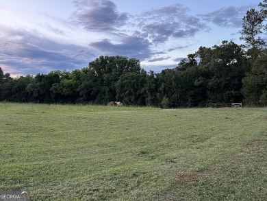 Lake Lot For Sale in Hartwell, Georgia