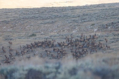 Bighorn Mountain Hideout is located deep in the Bighorn - photo 4