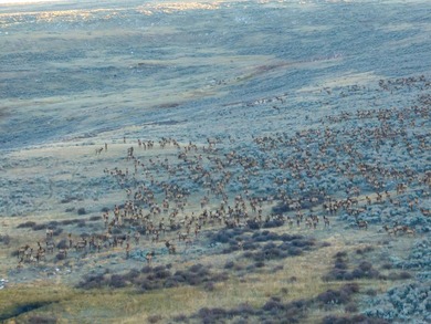 Bighorn Mountain Hideout is located deep in the Bighorn - photo 6