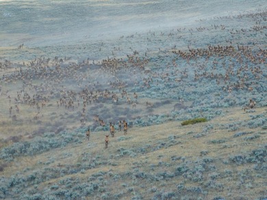 Bighorn Mountain Hideout is located deep in the Bighorn - photo 7