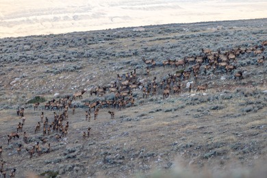 Bighorn Mountain Hideout is located deep in the Bighorn - photo 8