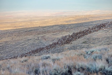 Bighorn Mountain Hideout is located deep in the Bighorn - photo 9
