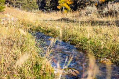 Bighorn Mountain Hideout is located deep in the Bighorn - photo 10
