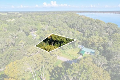 Lake Lot For Sale in Lake Panasoffkee, Florida