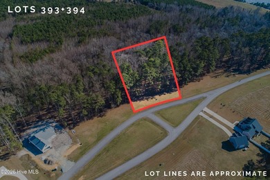 Elevated DOUBLE lot, close to Neuse River, those relaxing river - photo 3