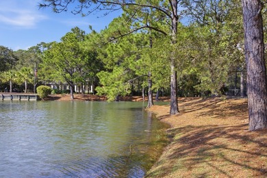 THIS HOME IS UNDER CONTRACT WITH 72 HR KICK OUT CLAUSE Beautiful - photo 50