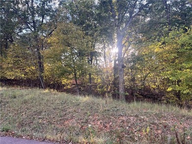Lake of the Ozarks Acreage For Sale in Gravois Mills Missouri