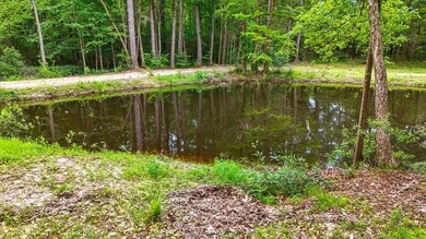 (private lake, pond, coastal) Acreage For Sale in Carriere Mississippi