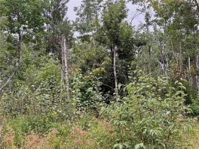 Lake Acreage Sale Pending in Clear Creek Unorg. Terr., Minnesota