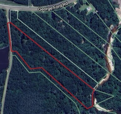 HIDDEN GEM right here in Pearl River County. This piece of - photo 2
