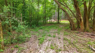 HIDDEN GEM right here in Pearl River County. This piece of - photo 3