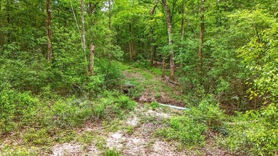 HIDDEN GEM right here in Pearl River County. This piece of - photo 4