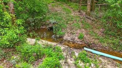HIDDEN GEM right here in Pearl River County. This piece of - photo 5