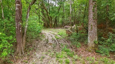 HIDDEN GEM right here in Pearl River County. This piece of - photo 8