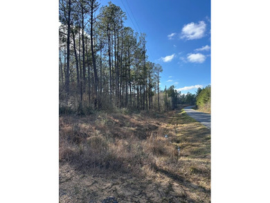 (private lake, pond, coastal) Acreage For Sale in Poplarville Mississippi