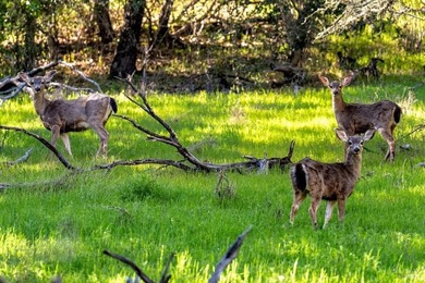 Once in a lifetime, an opportunity emerges that transcends the - photo 13