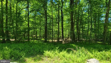 (private lake, pond, coastal) Acreage For Sale in Thurmont Maryland